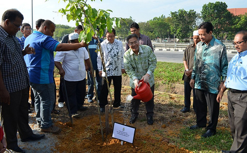 TKM I lancar kempen tanam pokok SPT | Buletin Mutiara