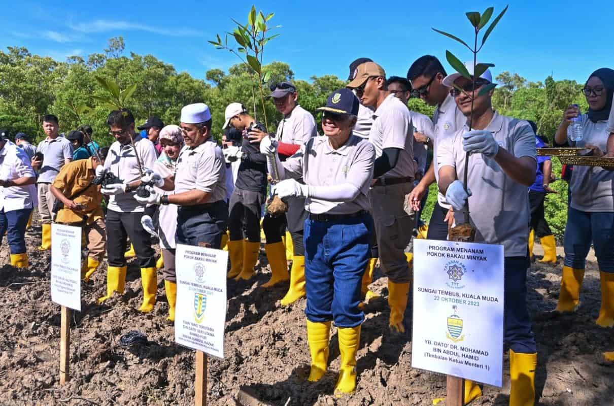 TYT sempurnakan program menanam 2,000 pokok Bakau Minyak | Buletin Mutiara