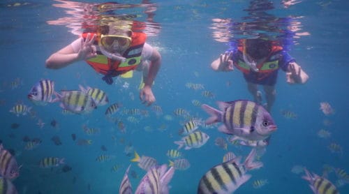 snorkelling at rubiah